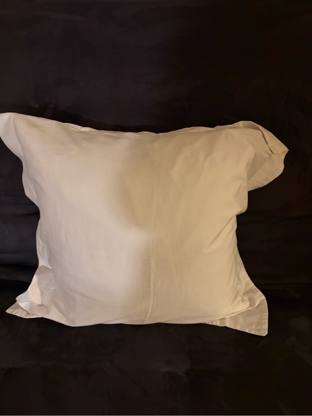 Pottery Barn 2018 White Cotton Euro Sham Pillow Cover 29 X29”